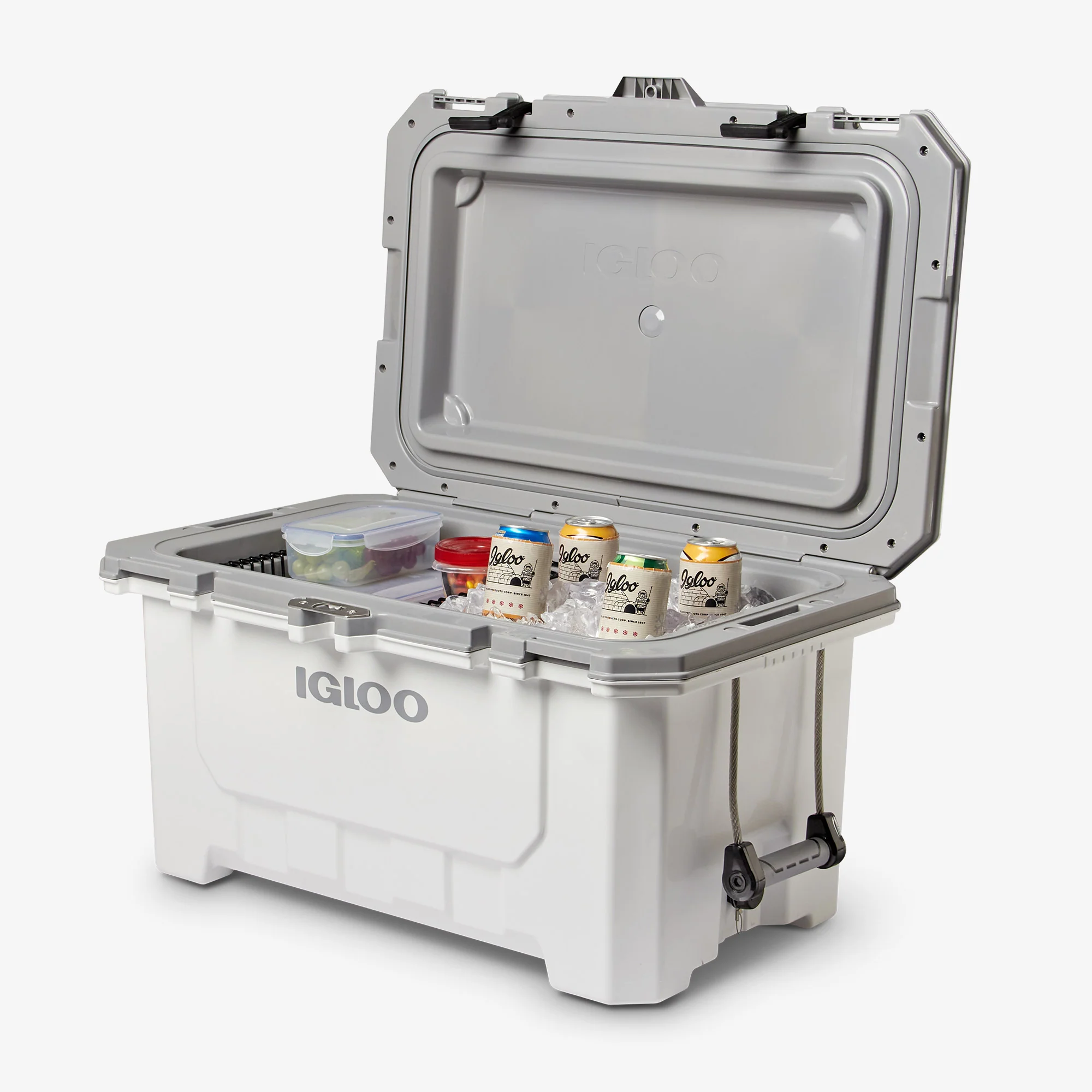 IMX 70 Qt Cooler - Image 3